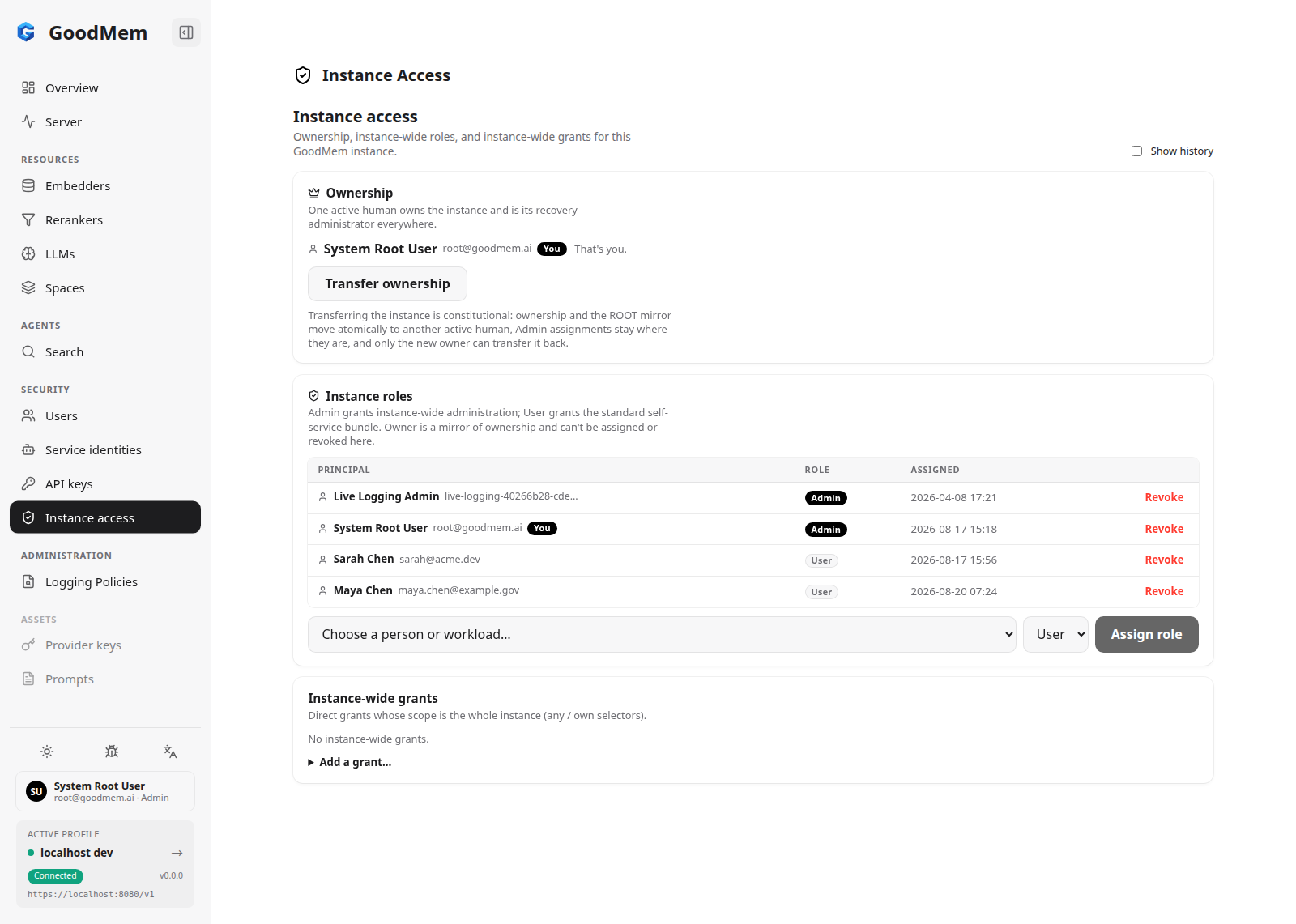 Instance access page showing the ownership card, an instance roles table with Admin and User assignments, and an empty instance-wide grants section