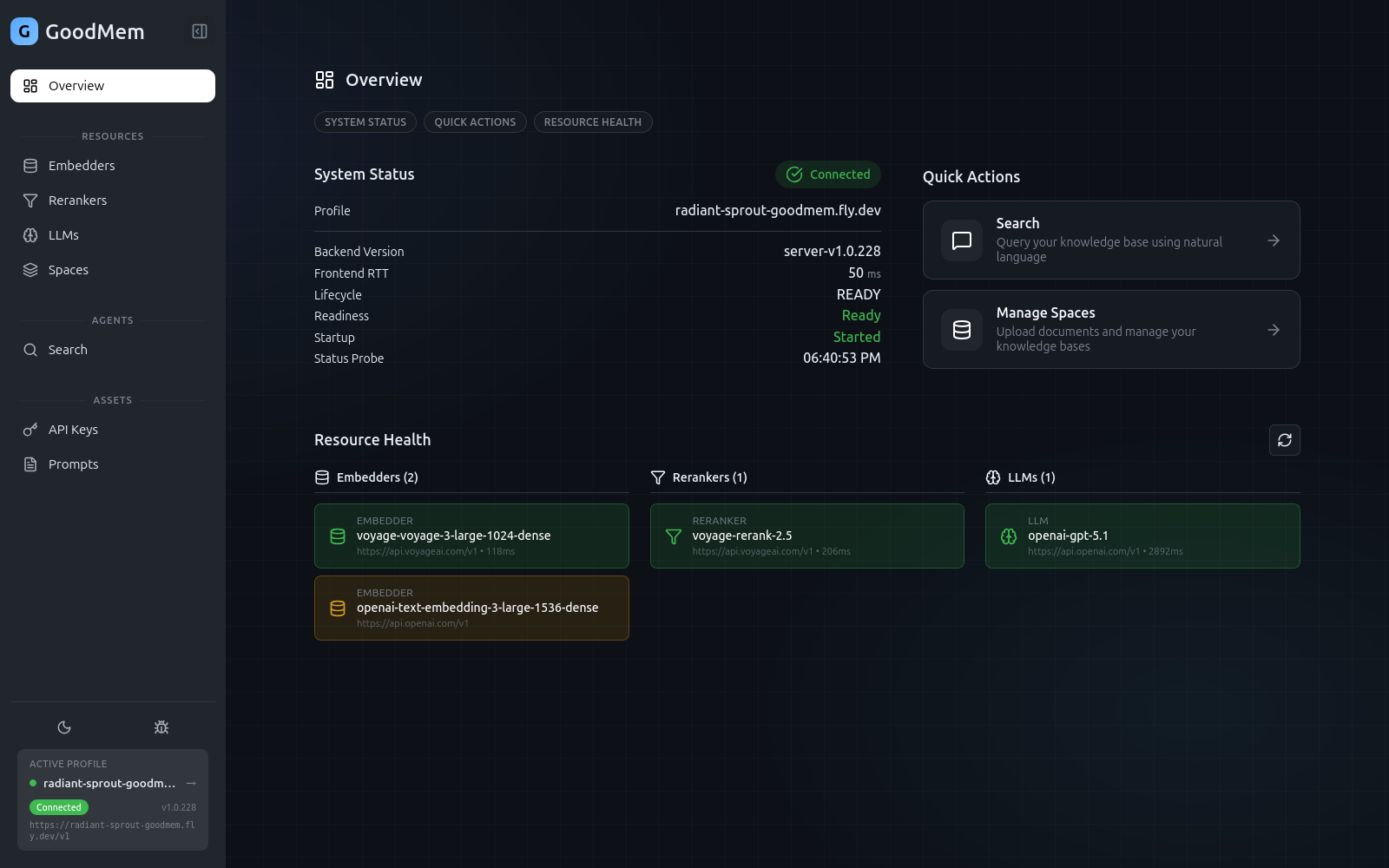 Resource Health section showing two embedders, a reranker, and an LLM all with green health status